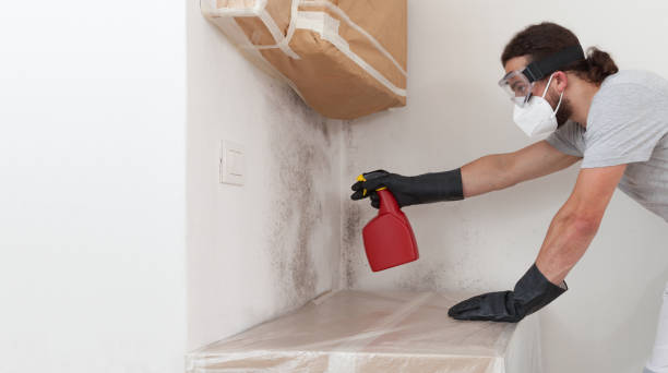 Professional Mold Remediation technician working in Richland, MI