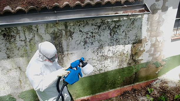 Top rated local Mold Remediation specialists in Richland, MI